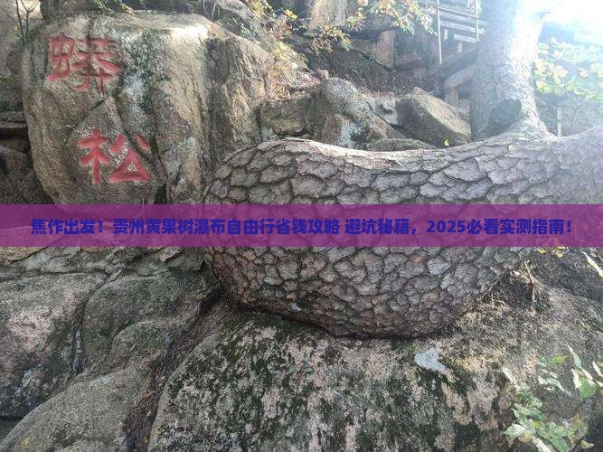焦作到贵州黄果树瀑布自由团