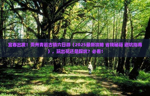 宜春到贵州青岩古镇六日游