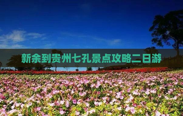 新余到贵州小七孔二日游