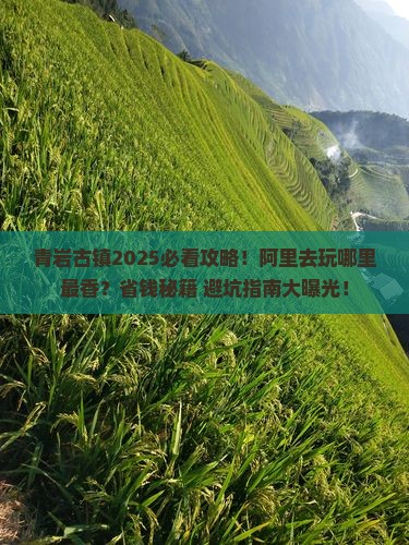阿里去贵州青岩古镇哪里玩