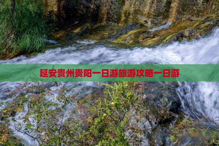 延安去贵州贵阳一日