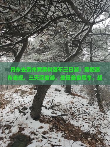 丹东去贵州黄果树瀑布三日游