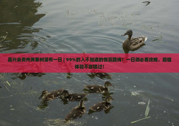 嘉兴去贵州黄果树瀑布一日