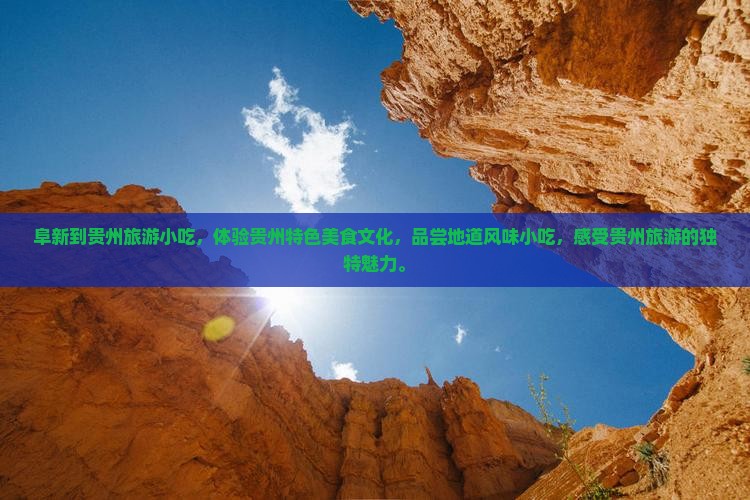 阜新到贵州旅游小吃