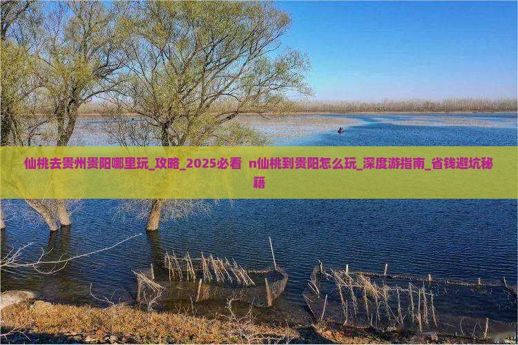 仙桃去贵州贵阳哪里玩