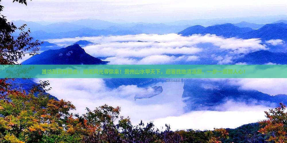 潍坊到贵州景点