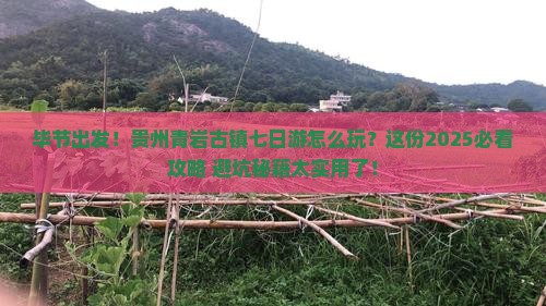 毕节去贵州青岩古镇七日游