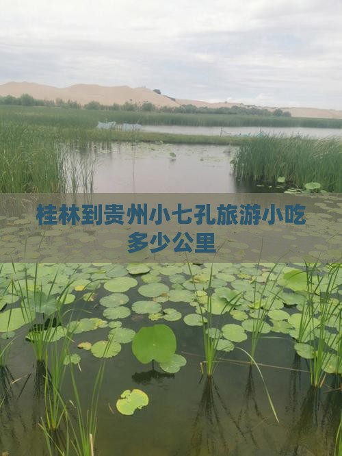 桂林到贵州小七孔旅游小吃