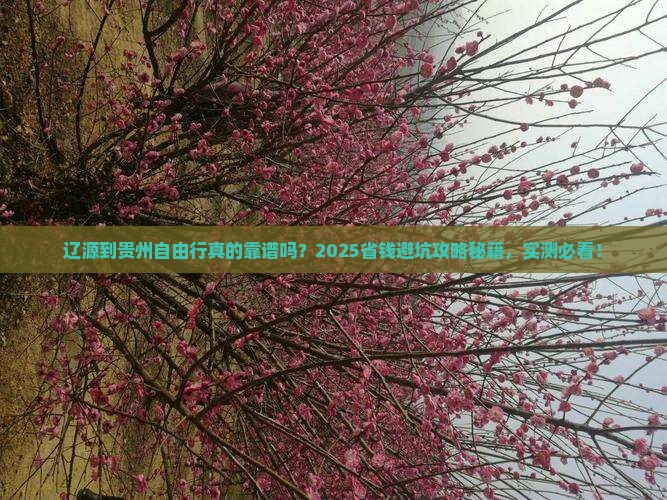 辽源到贵州自由行