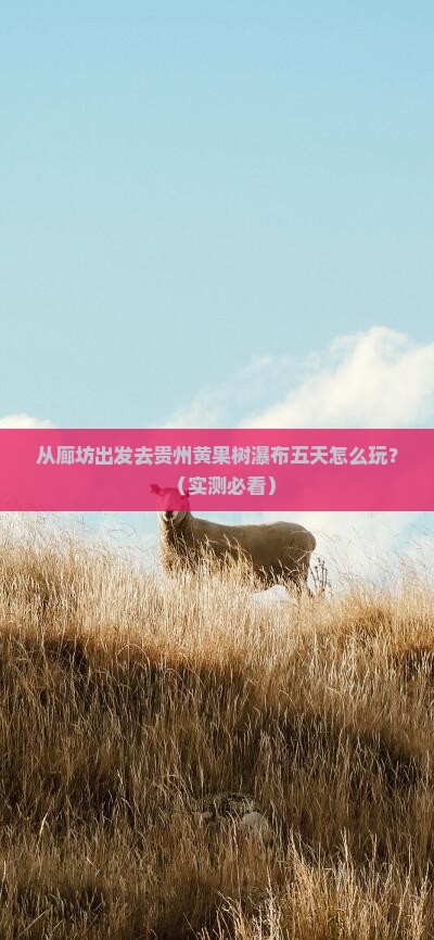 廊坊去贵州黄果树瀑布五日游