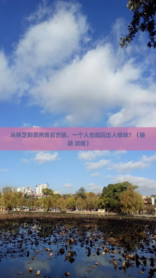林芝到贵州青岩古镇个人游