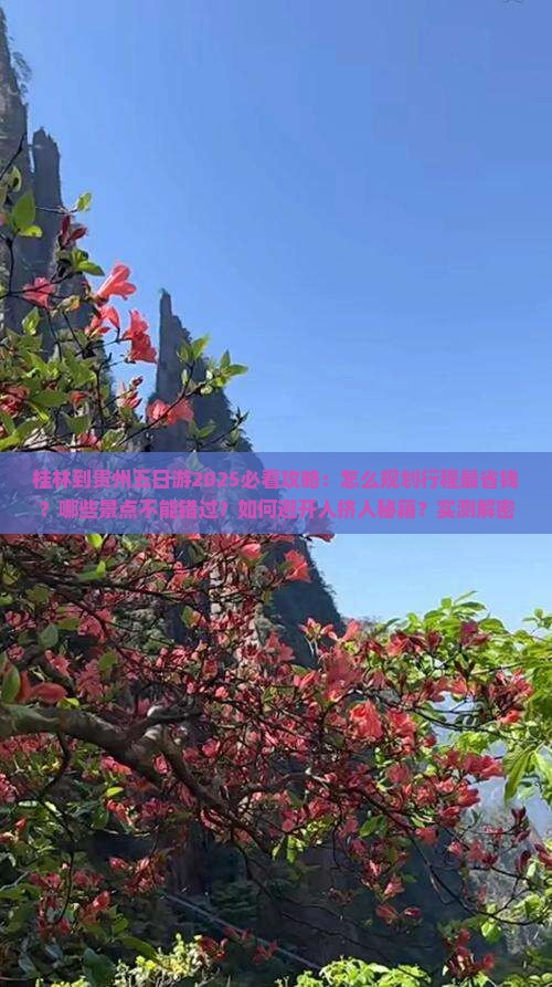 桂林到贵州五日游 桂林到贵州五日游