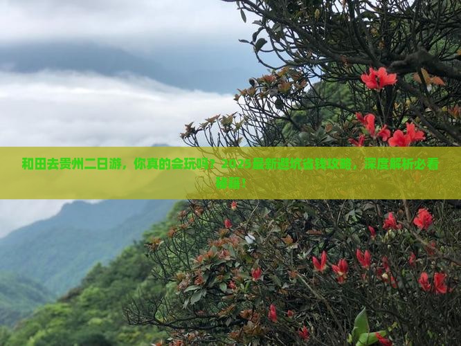 和田去贵州二日游