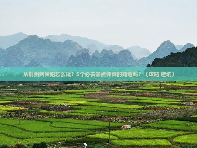 荆州去贵州贵阳景点