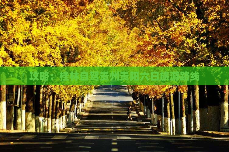 桂林去贵州贵阳六日游