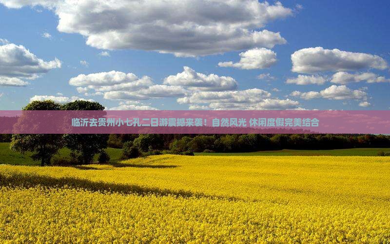 临沂去贵州小七孔二日游