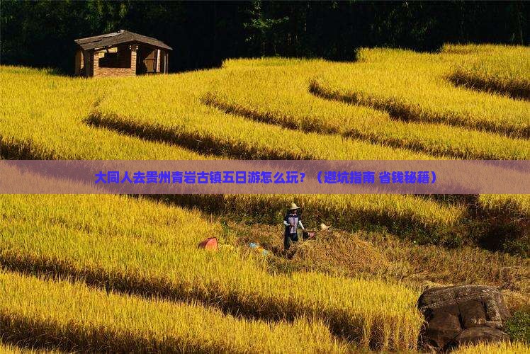 大同去贵州青岩古镇五日游