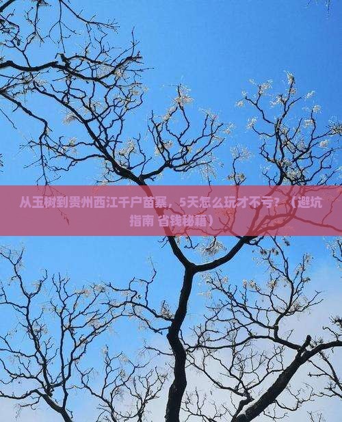 玉树去贵州西江千户苗寨自由行