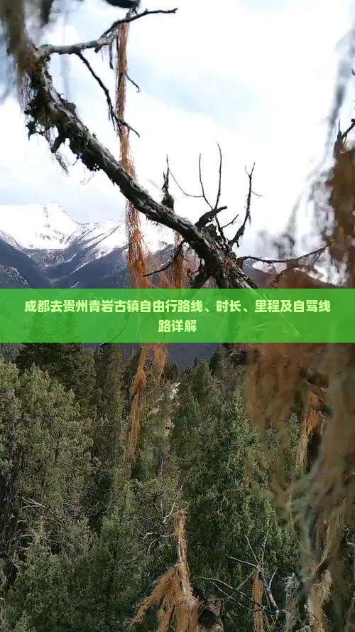 成都去贵州青岩古镇自由行