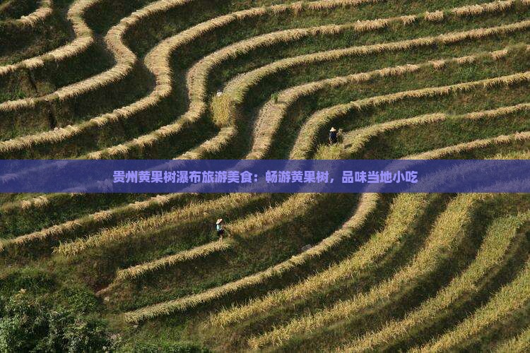 聊城去贵州黄果树瀑布旅游小吃