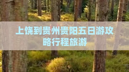 上饶到贵州贵阳五日游