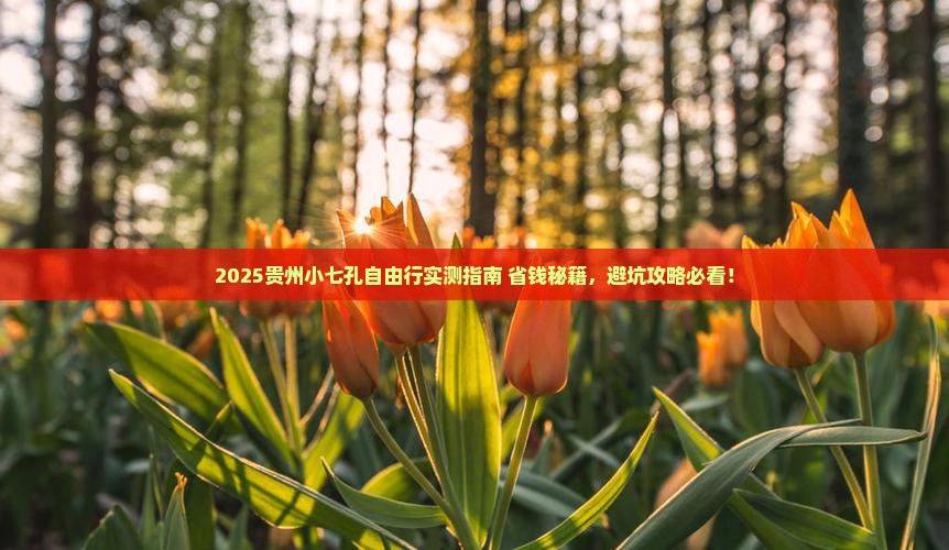 阿里去贵州小七孔自由团