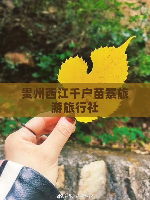 迪庆到贵州西江千户苗寨旅行社