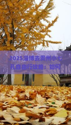 淄博去贵州小七孔自由行
