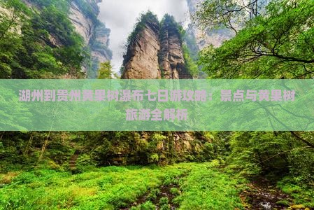 湖州到贵州黄果树瀑布七日游