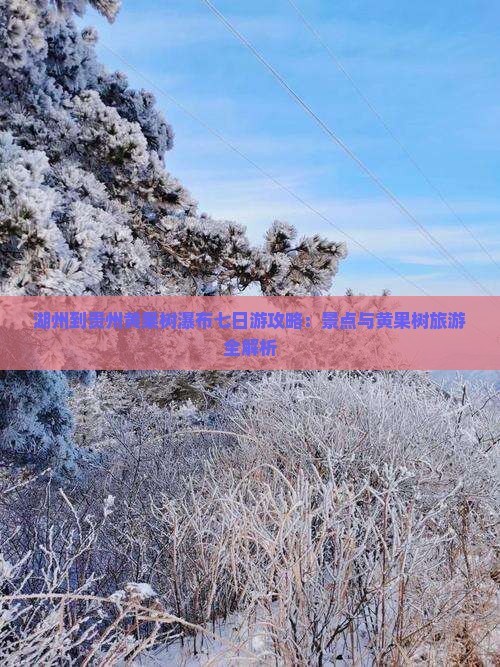湖州到贵州黄果树瀑布七日游