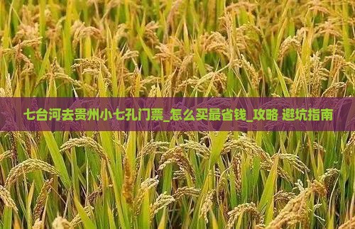 七台河去贵州小七孔门票