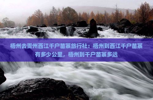 梧州去贵州西江千户苗寨旅行社