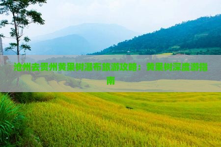 沧州去贵州黄果树瀑布旅行社