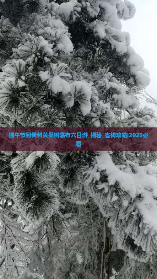 端午节到贵州黄果树瀑布六日游