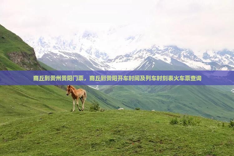 商丘到贵州贵阳门票
