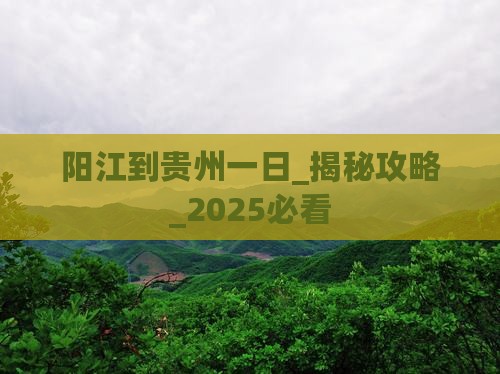阳江到贵州一日
