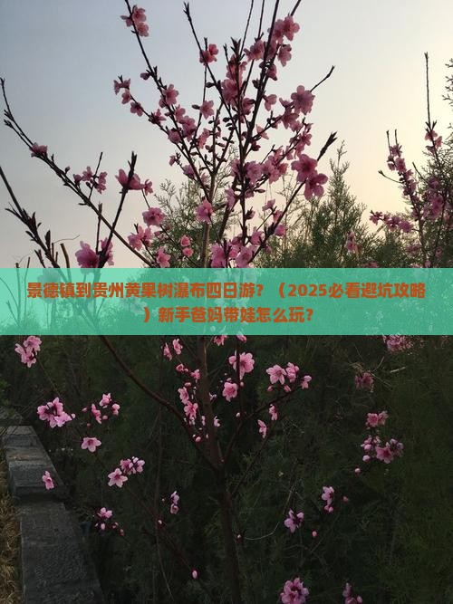 景德镇到贵州黄果树瀑布四日游