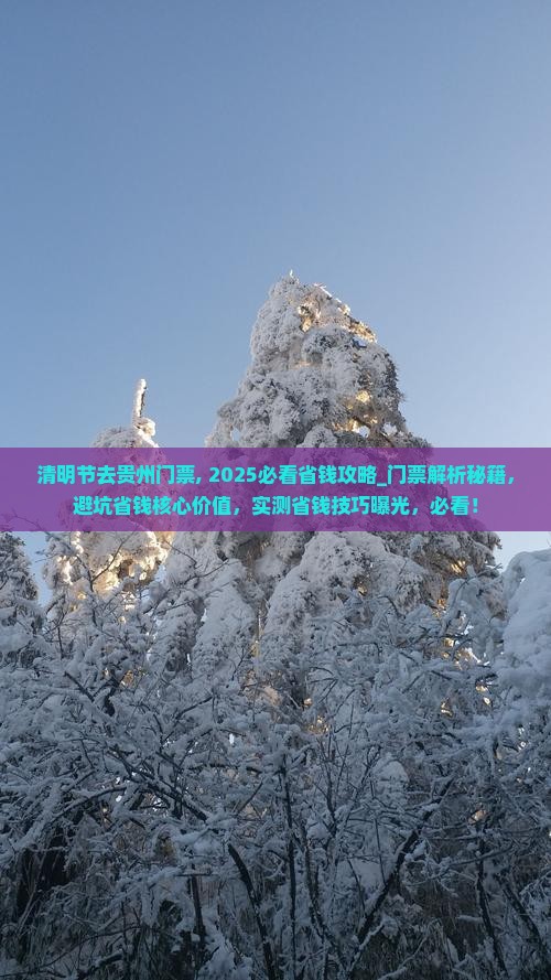 清明节去贵州门票