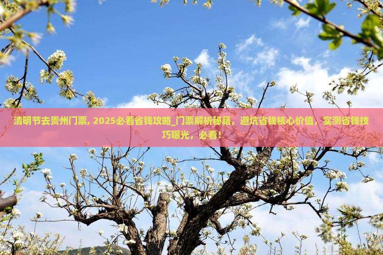 清明节去贵州门票