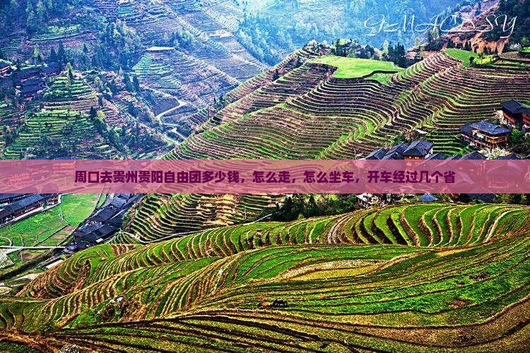 周口去贵州贵阳自由团