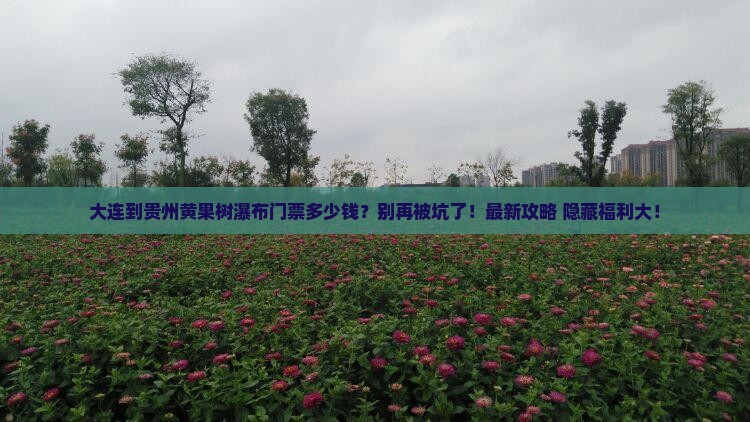 大连到贵州黄果树瀑布门票