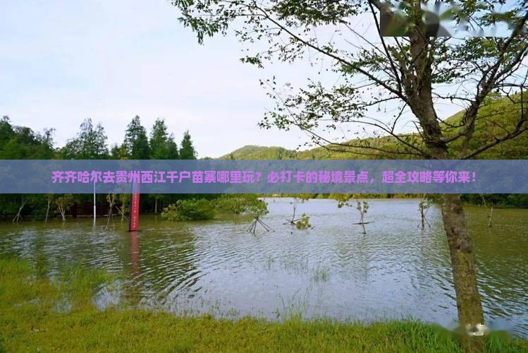 齐齐哈尔去贵州西江千户苗寨哪里玩