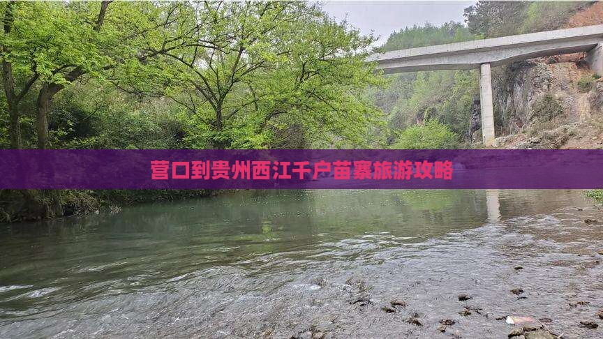 营口到贵州西江千户苗寨大型旅游团