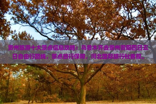 乌鲁木齐去贵州贵阳四日游