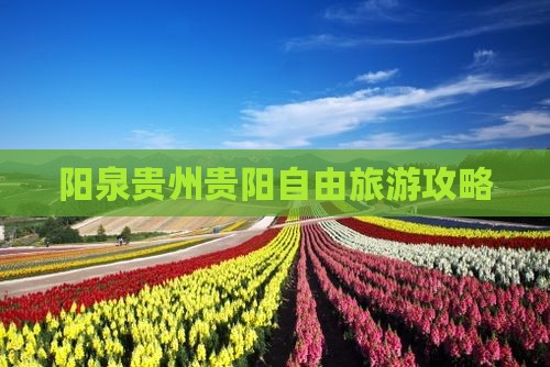 阳泉去贵州贵阳自由团