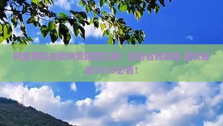 阿里去贵州贵阳四日游