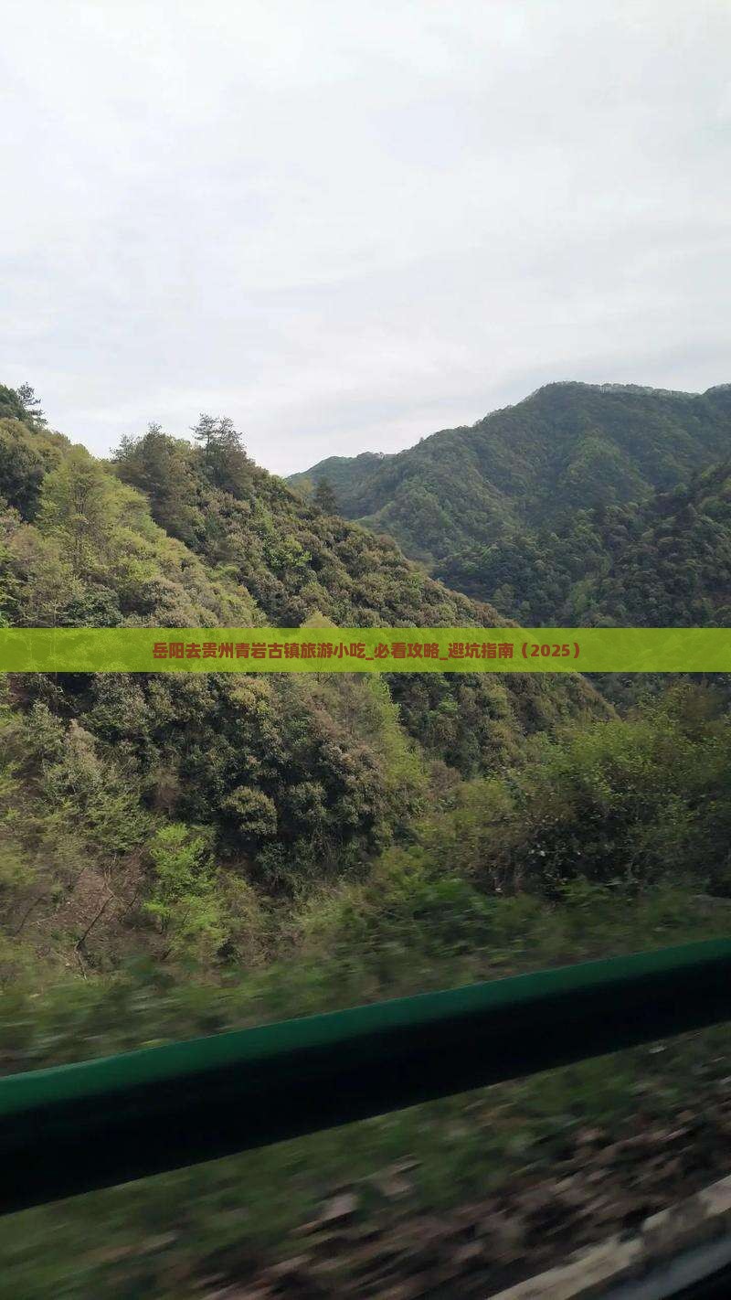 岳阳去贵州青岩古镇旅游小吃