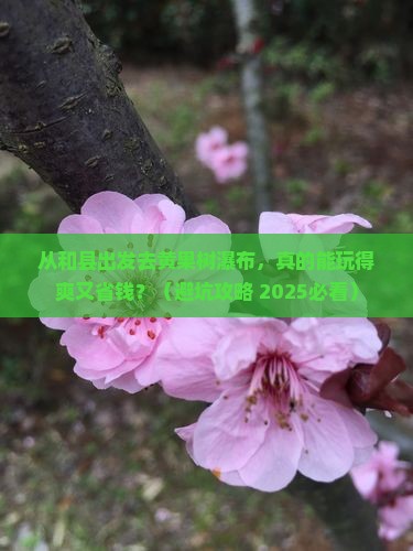 和县到贵州黄果树瀑布个人游