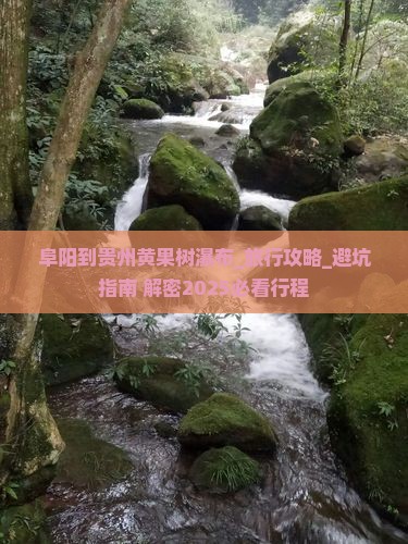 阜阳到贵州黄果树瀑布团体旅游