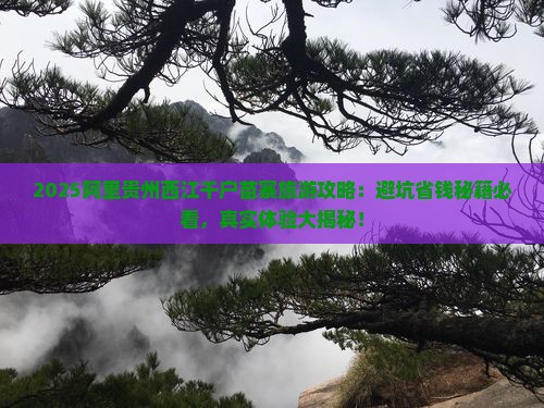 阿里去贵州西江千户苗寨旅游